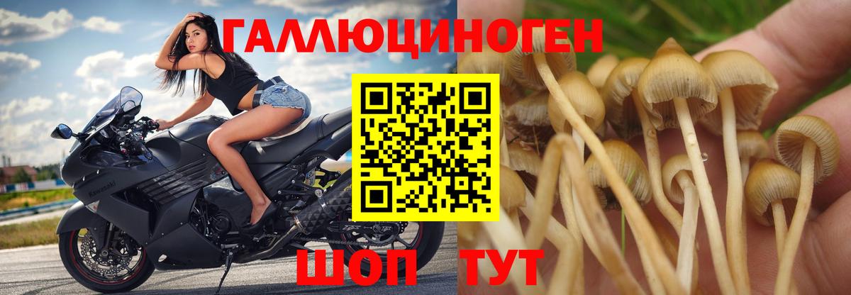 Псилоцибиновые грибы мицелий  Вход с VPN  Якутск 